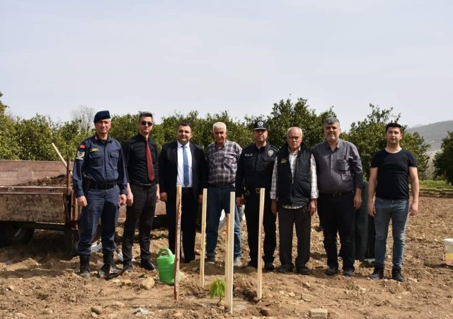 Buharkent tarımı atağa kalktı