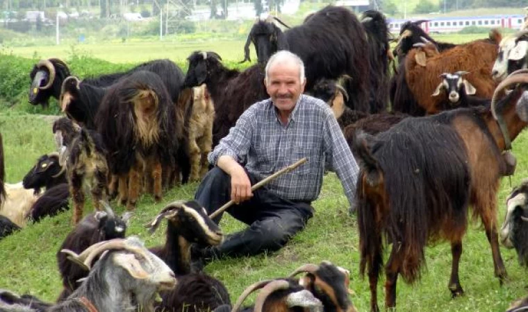 ”Burası İstanbul’un ortasında bir yayla”