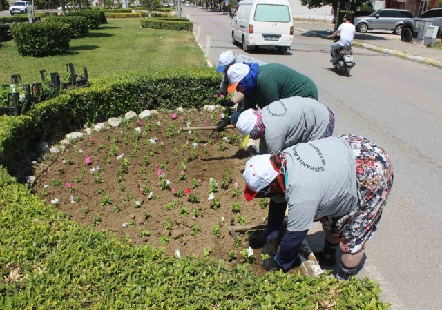 Burhaniye çiçeklerle renkleniyor