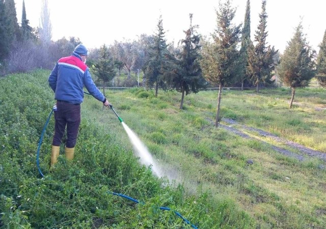 Burhaniyede Mezarlıklar bayrama hazırlanıyor