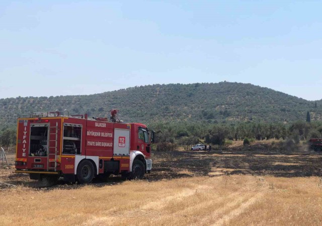 Burhaniyede otluk alanda yangın