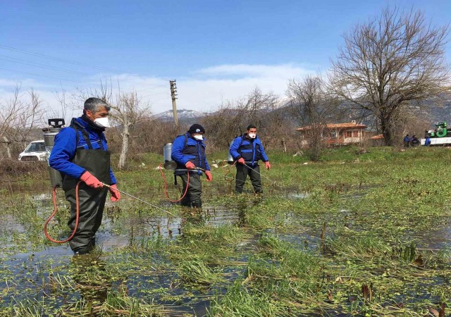 Büyükşehir ekiplerinden yağmurlar sonrası vektörle mücadele