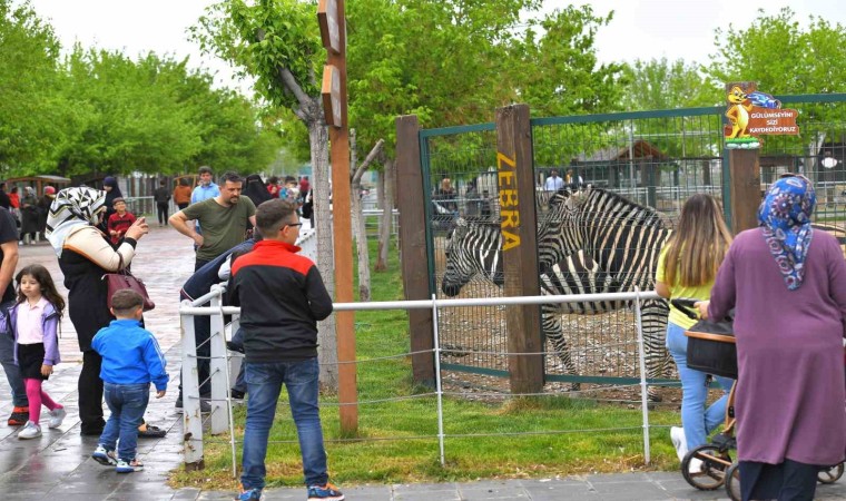 Büyükşehir Hayvanat Bahçesi Kurban Bayramında ücretsiz