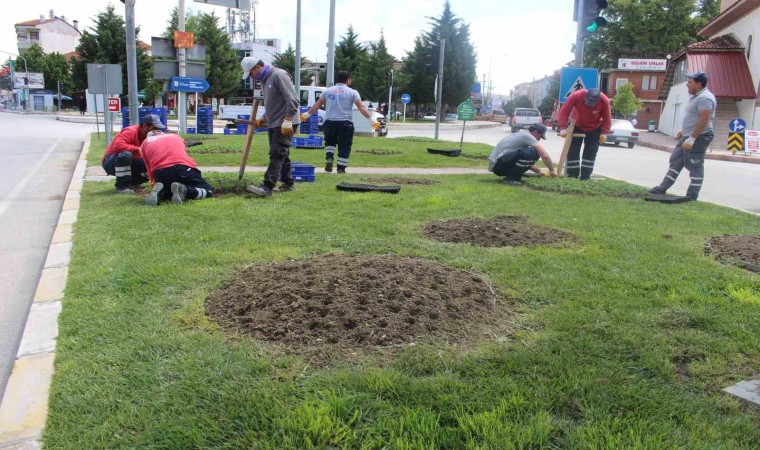 Büyükşehirden Korkutelide çiçek dikimi