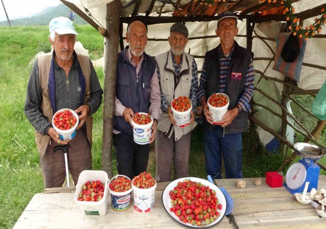 Demirciören çileği tezgahlarda