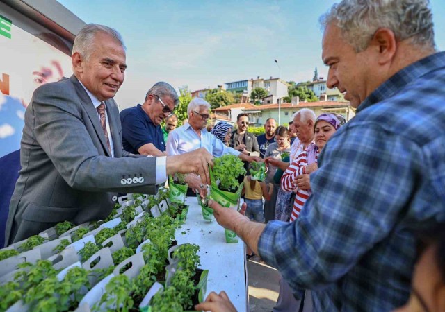 Denizli fesleğen kokacak