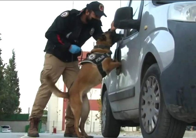 Denizlide 1 haftada 114 kişi tutuklandı