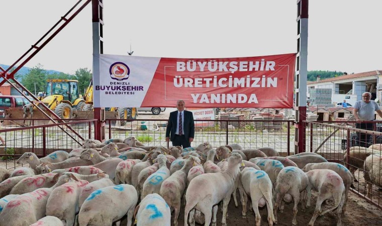 Denizlide küçükbaş hayvancılığa 7,5 milyon liralık destek