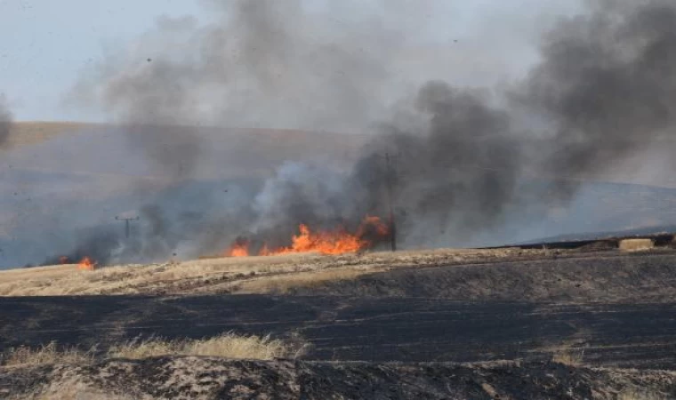 Diyarbakır’da 9 kişinin öldüğü arazi kavgasında tutuklu sayısı 13’e çıktı