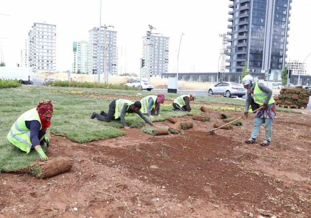 Diyarbakırda bulvar yeşillendirme çalışmaları devam ediyor