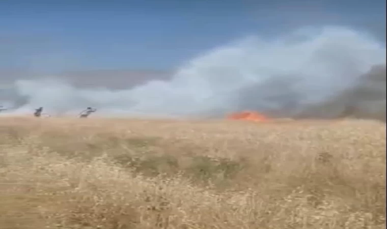 Diyarbakır’da ekili arazide yangın; 6 saatte söndürüldü, 150 dönümdeki buğday yandı