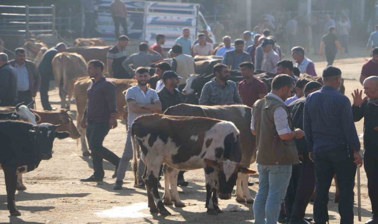 Diyarbakırda işin ehlinden acemi kasap uyarısı