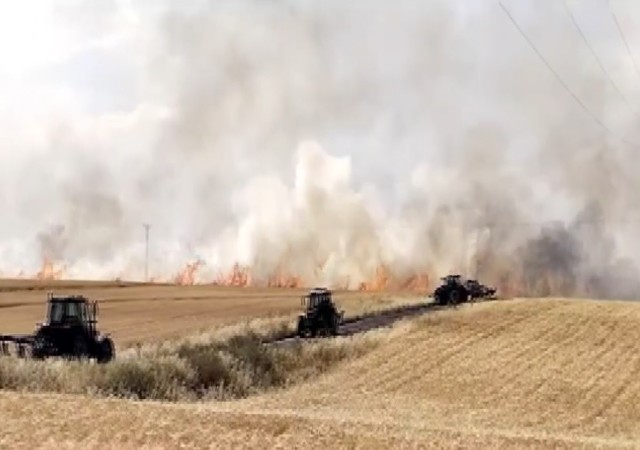 Diyarbakırda yaklaşık bin dönümlük buğday tarlası küle döndü