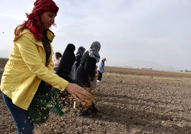 Doğubayazıtlı kadınlar toprağa hayat verdi