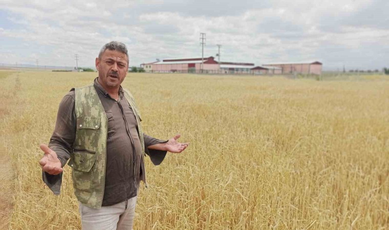 Dolu yağışı, çiftçinin bir yıllık emeği ve alın terini götürdü