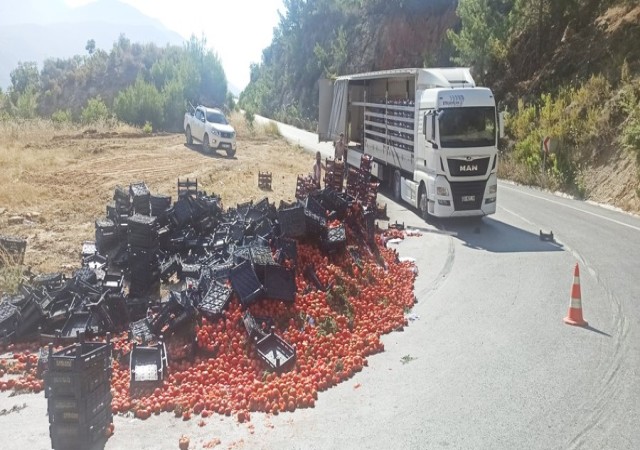 Domates yüklü tırın yükü yan yattı