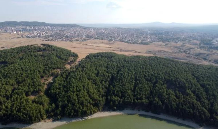 Edirne’de ormanlara girişler 15 Ekim’e kadar yasaklandı