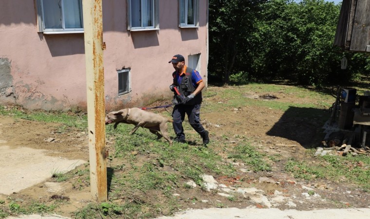 Ekipler her yerde onu arıyordu, evinden 60 kilometre uzaklıkta bulundu