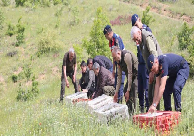 Elazığda doğaya keklik salımı yapıldı