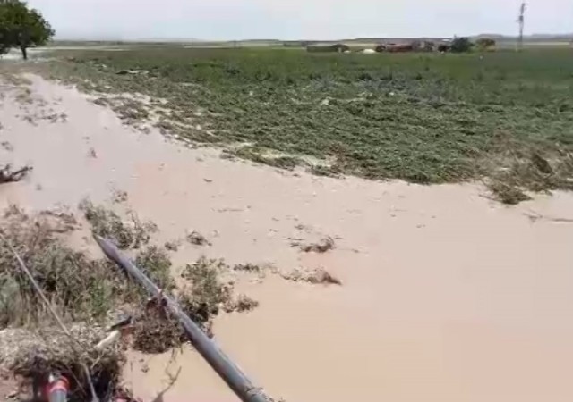 Ereğlide dolu ve sel çiftçiyi vurdu