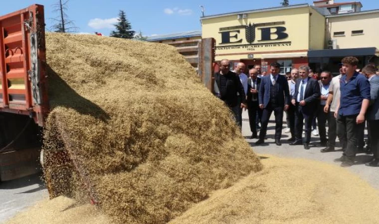 Eskişehir’de çiftçinin yüzü yağışlarla güldü