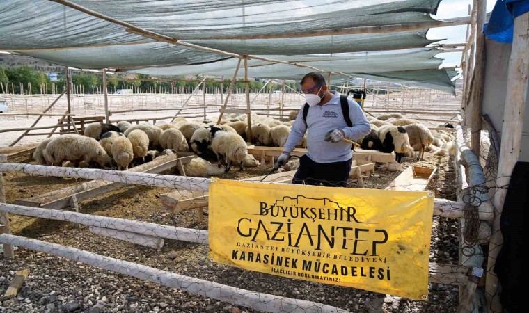 Gaziantepte kurban bayramı tedbirleri aralıksız devam ediyor