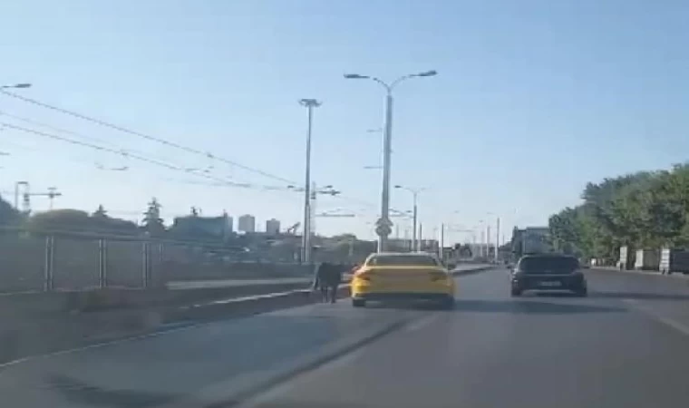 Güngören’de sahibinin elinden kaçan kurbanlık boğa trafiği birbirine kattı