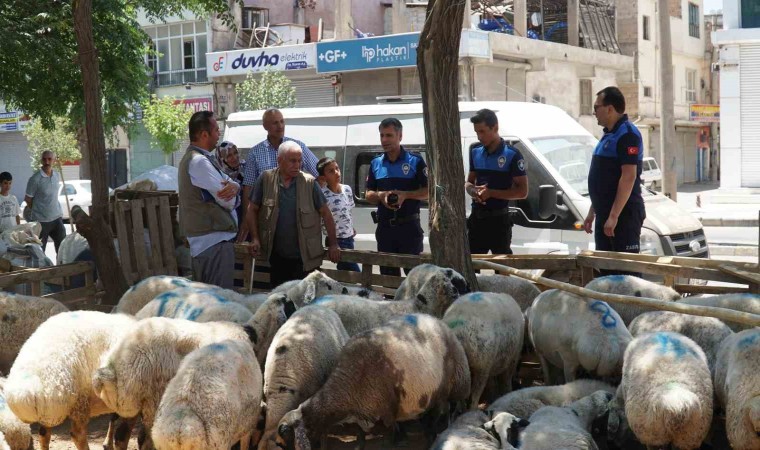 Haliliye Belediyesi kurban bayramında 635 personeliyle sahada