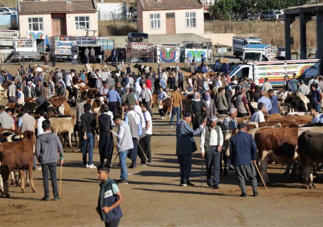 Hayvan pazarında hareketlilik başladı