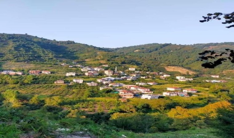 Hırsızlar, Alaplıda boş evlere dadandı