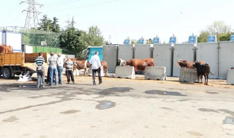 İl Tarım Ve Orman Müdürü Karaca’dan kurban kesenlere uyarı