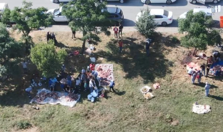 İstanbul’da yol kenarlarındaki boş alanlarda kaçak kurban kesimi