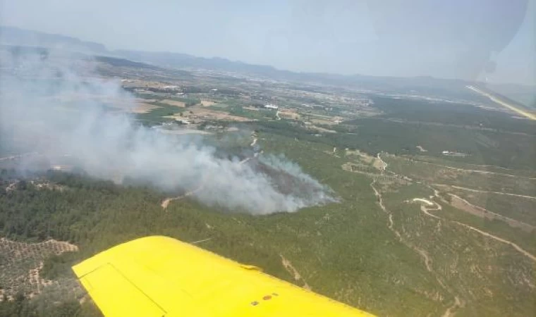 İzmir’de orman yangını