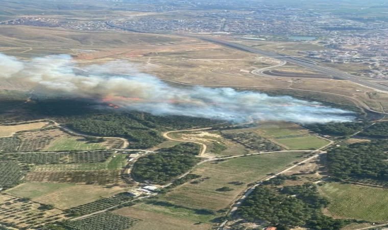 İzmir’de orman yangını