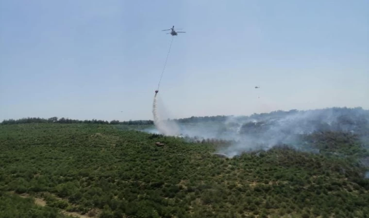 İzmir’de orman yangını (2)