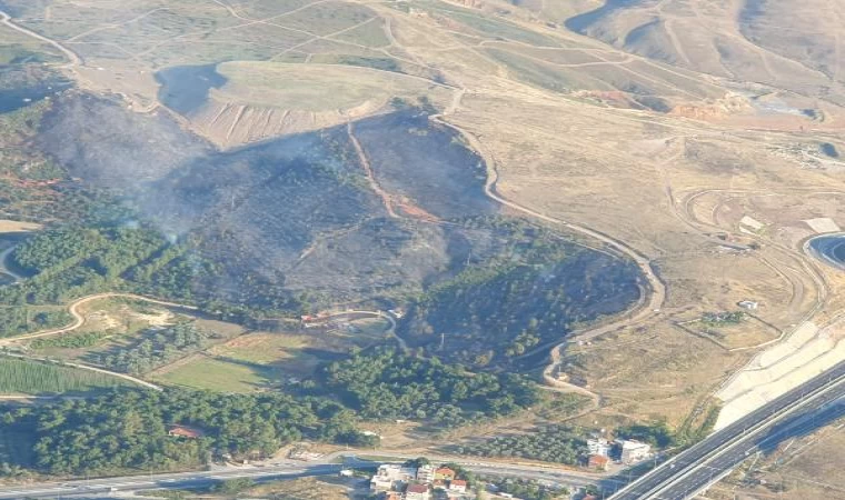 İzmir’de orman yangını (2)