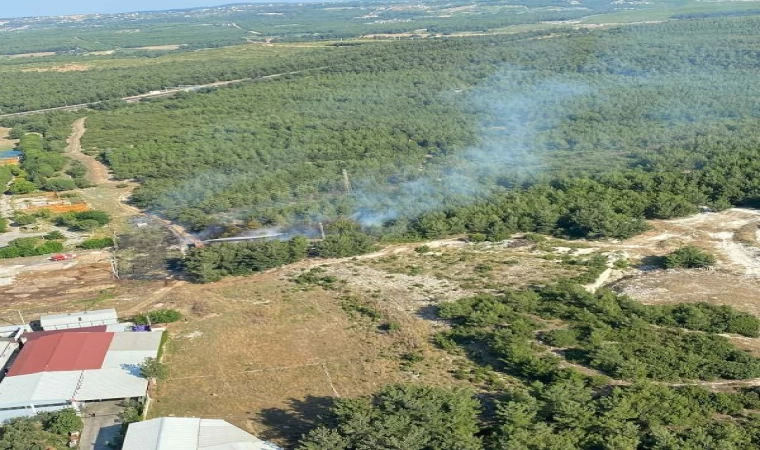 İzmir’de orman yangını 40 dakikada kontrol altına alındı 