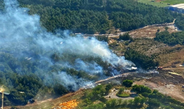 İzmirde ormanlık alandaki yangın kontrol altında