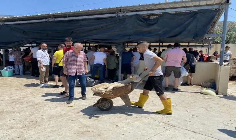 İzmir’deki kurban kesim noktalarında bayram yoğunluğu