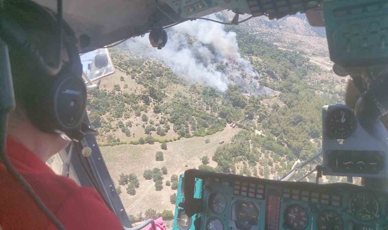 İzmirdeki orman yangınına havadan ve karadan müdahale