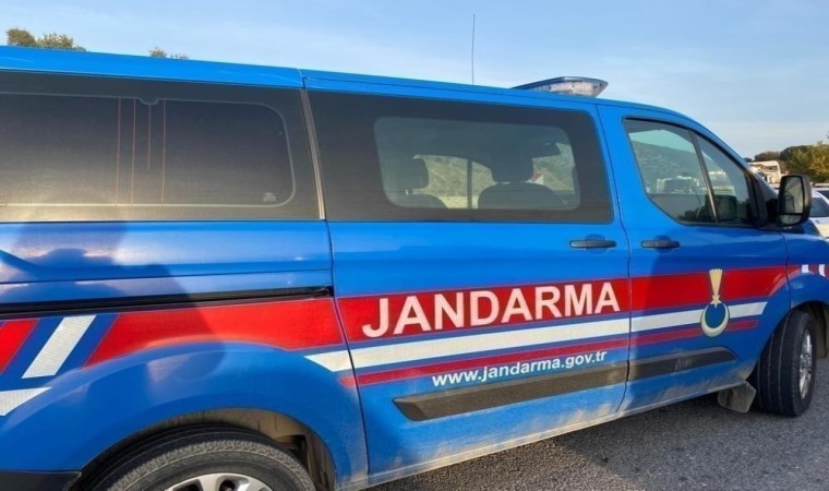 Jandarma ekipleri 23 olaya suçüstü müdahale etti