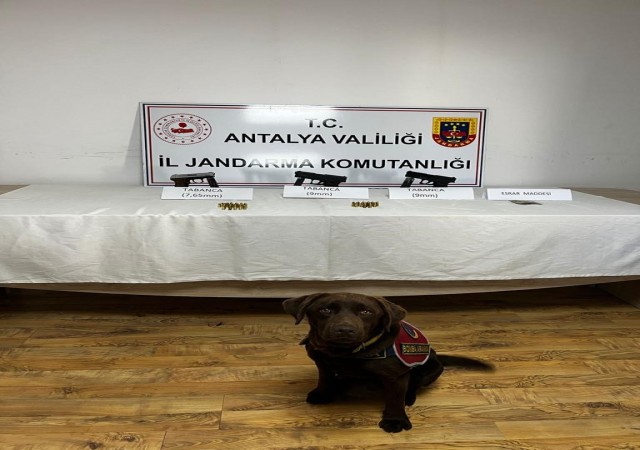 Jandarma narkotik köpeklerinden uyuşturucuya geçit yok