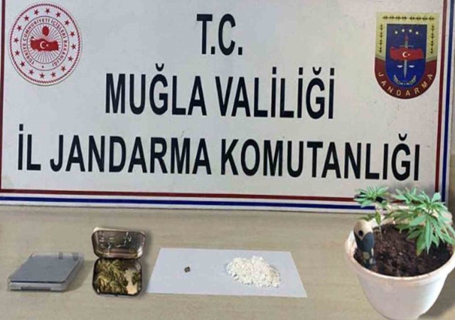 Jandarmadan Muğla genelinde uyuşturucu operasyonu