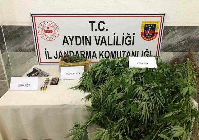 Jandarmadan uyuşturucu operasyonu: 1 gözaltı