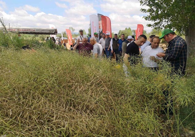 ‘Kanola ekelim yağ olsun bal olsun