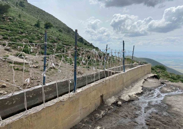 Karamanda yılkı atlarını yakalamaya çalışan 2 kişi yakaladı