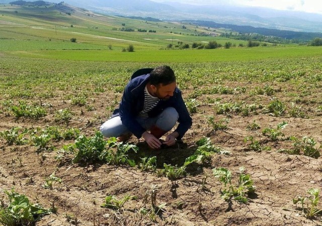 Kastamonuda selin vurduğu alanlarda hasar tespit çalışmaları devam ediyor