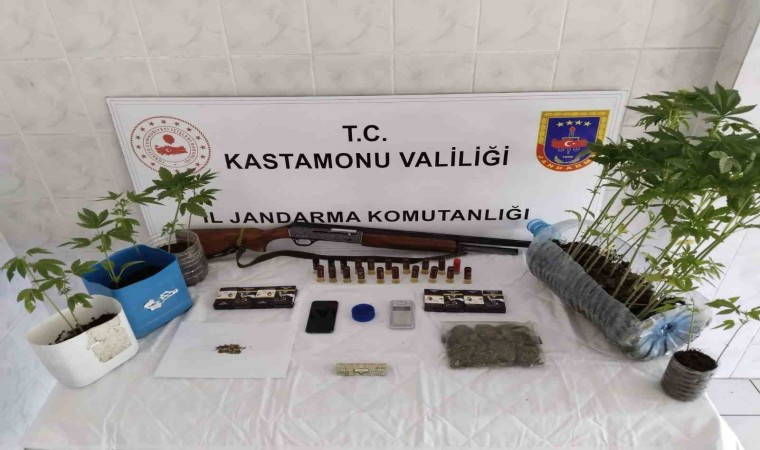 Kastamonuda uyuşturucu operasyonu: 1gözaltı