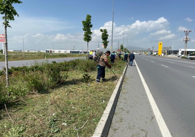 Kayseride Yabancı Otlarla Mücadele