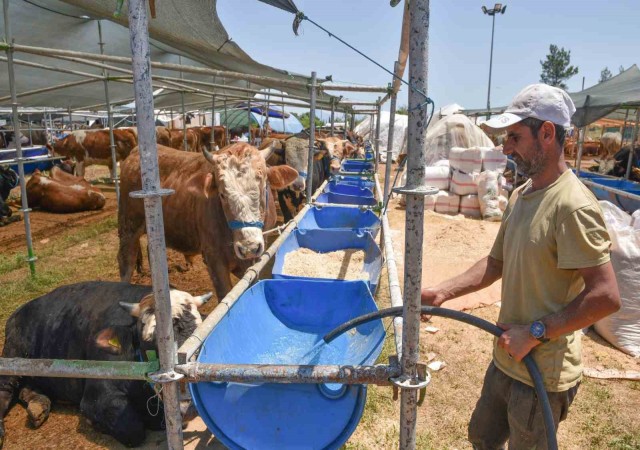 Kepez Kurban Bayramına hazır